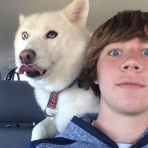 Meet your Posher, Harry